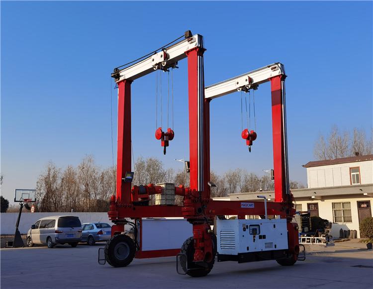 DB10 Double Hook Mobile Gantry Crane