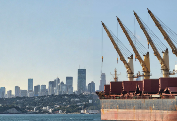 Marine Pedestal Cranes