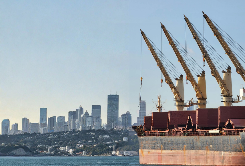 Marine Pedestal Cranes